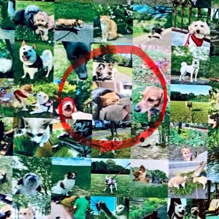 E04863f3 89cd 4fe8 8db2 6e3d6dffcd8f 1780840864420