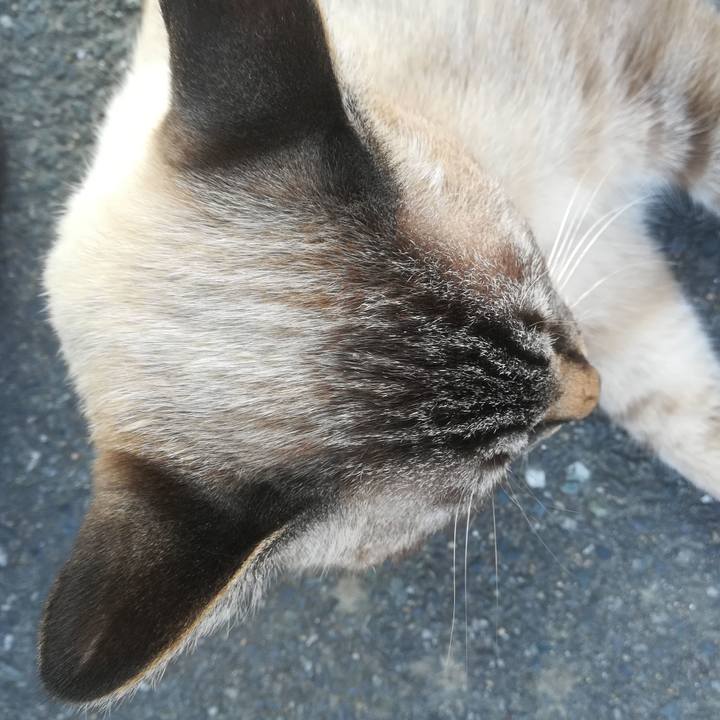 E04864fd 0cbd 4644 b0d6 b1f6fdb16f00 1601625989298