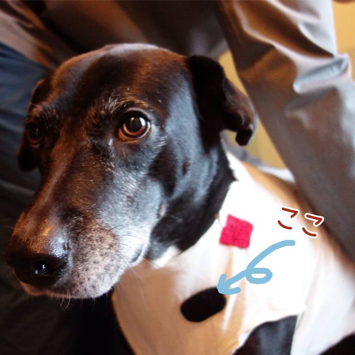 E04869b5 5277 4255 b95d 87117d8d41a2 1739233320940