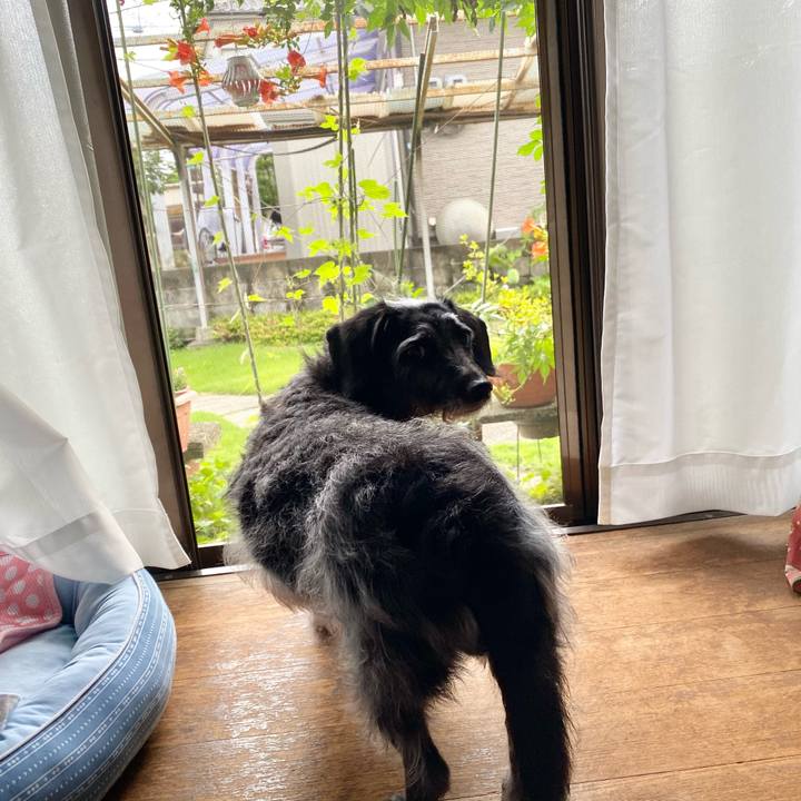 E048975e cbbf 4dfc 9859 49a341f16c49 1629155940090