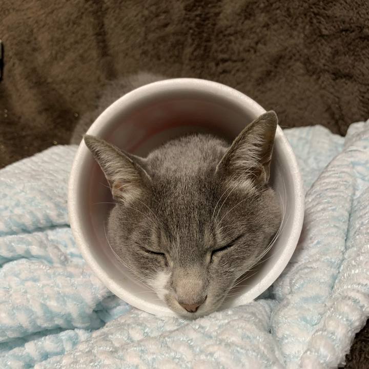 E048bd28 40d5 4df4 9884 a749dec04dd5 1585750828327