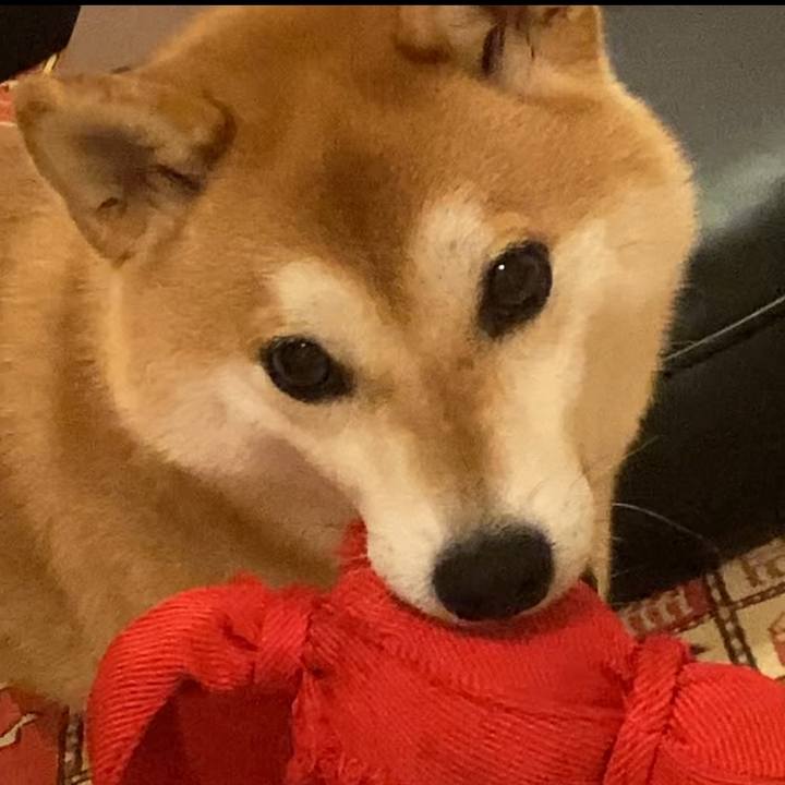 E048f08a 4f95 4620 93d8 1bb49da3fb06 1756471441780