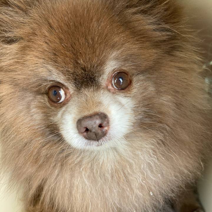 E0491a5c 50ab 4e05 9767 875a78944008 1644120250375