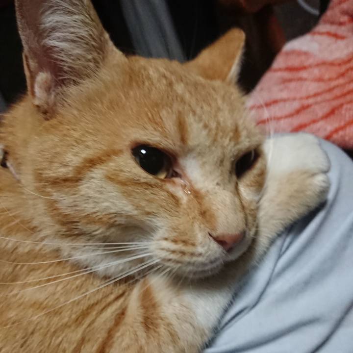 E049395b 5417 42ef aba9 bd0a865ad924 1593113350384