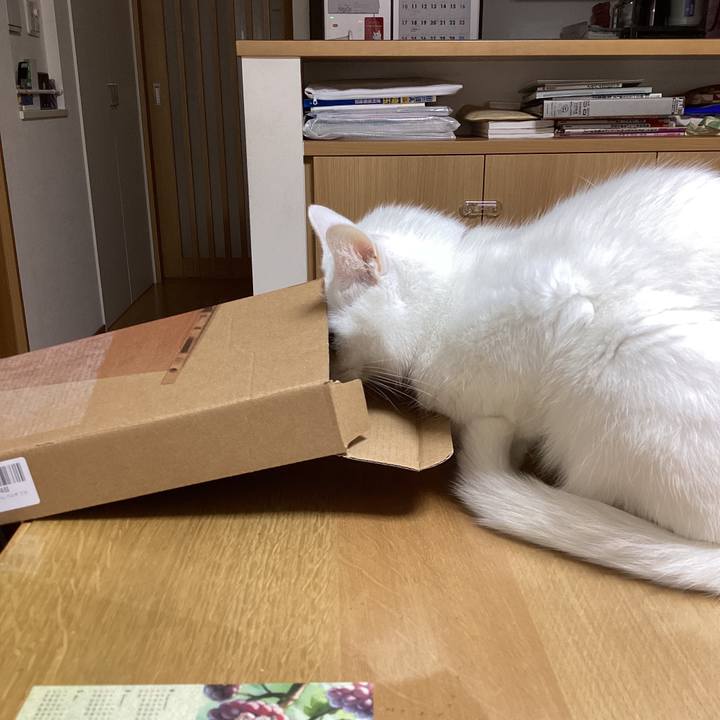 E0495d84 76aa 414c a703 03e4922d4a55 1731323949828