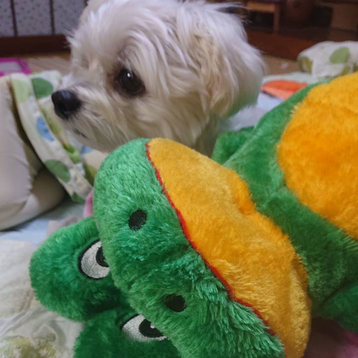 E049c173 22a3 416c af09 1b8aedbf6f9e 1537881682936