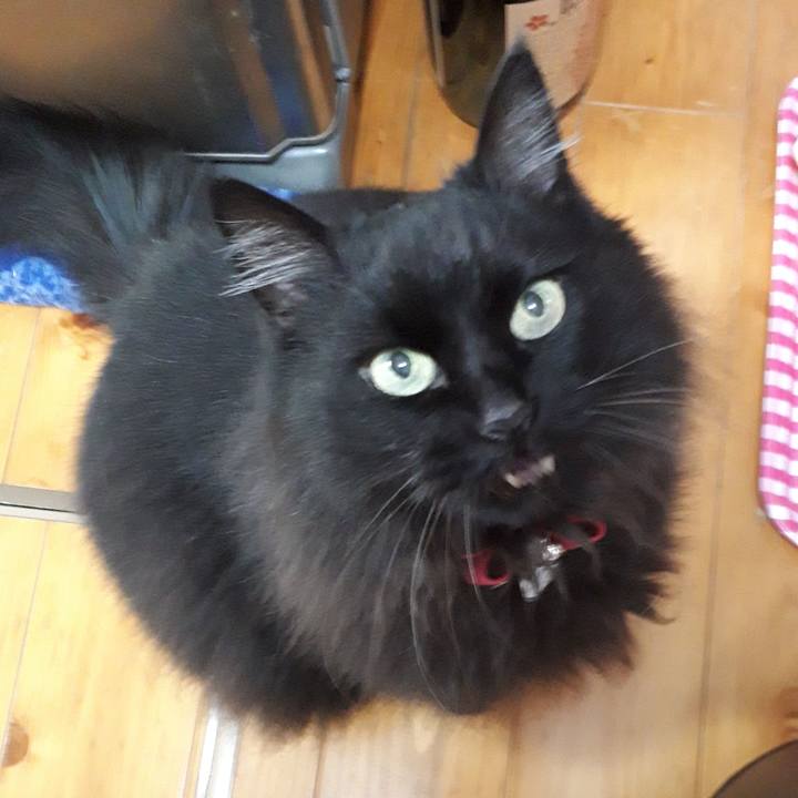 E049e611 2a36 4d5b 89f1 e40abccb2fb0 1523262502924