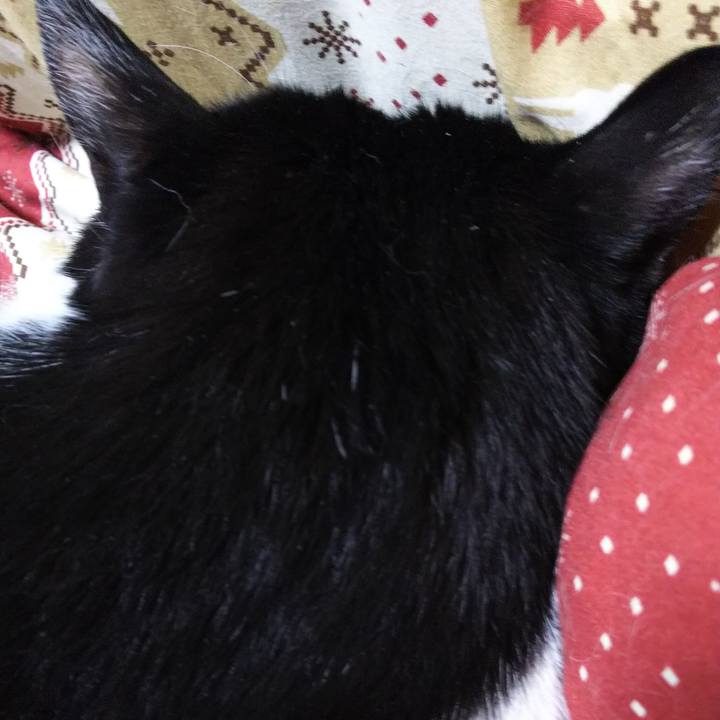 E04a1b83 36df 43f7 b388 0288229c0ef5 1548509867255