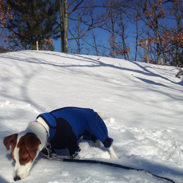 E04a43b3 038e 4e1a bdae c6e3957b6849 1518595396570