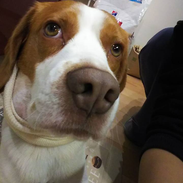 E04a6783 0d56 401a 908f 5e5593e520da 1524825599522