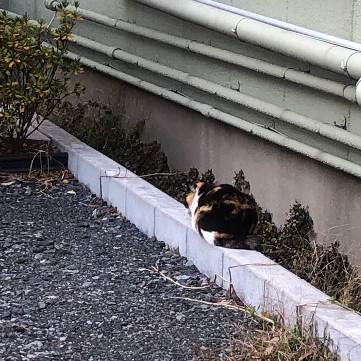 E04a7556 b9c7 4063 a0ad 701d2eb8c3b2 1638015506305