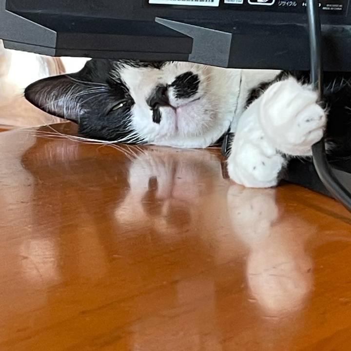 E04a86be abf4 4dea b67e 69cd22073ecb 1739747006330