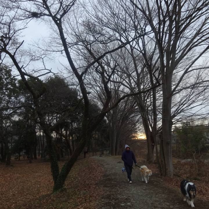 E04a8e8b 3b7f 4d25 92c7 edc617c2672c 1611834454915