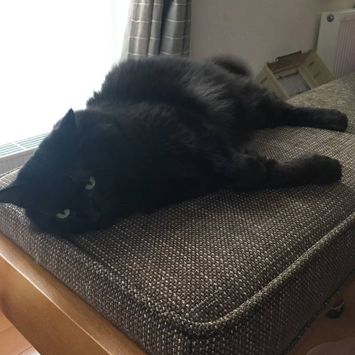 E04a9106 87c4 425b 9e55 a462b1f959d2 1519631156455