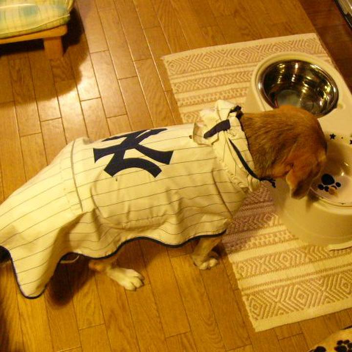 E04aa724 5bc1 4d51 8270 b69263c4fc4b 1657498136142