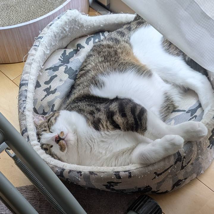 E04accea 51f5 46b9 a329 823e99497166 1752369870977