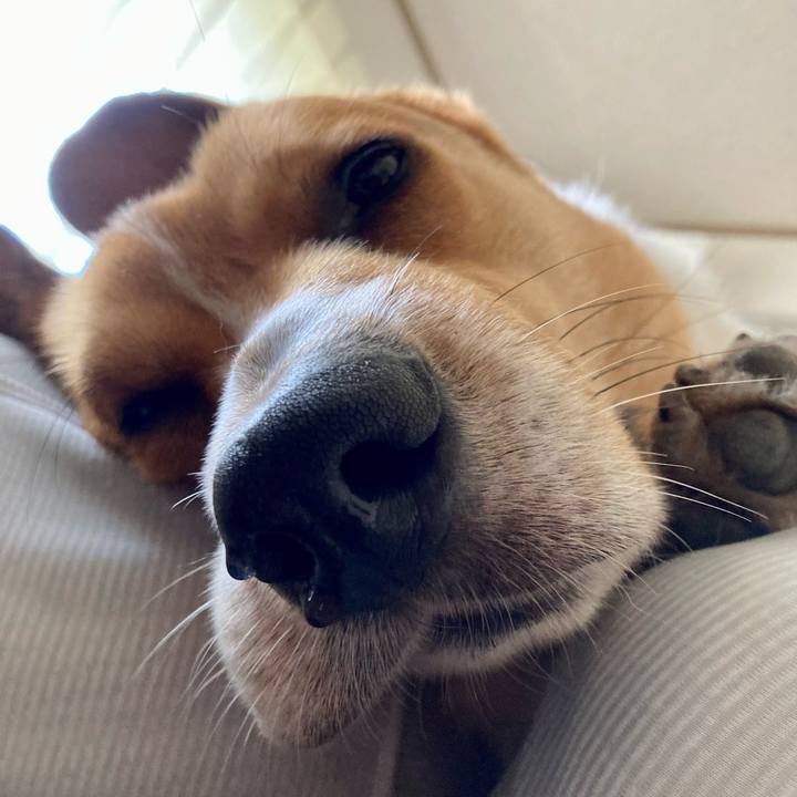 E04ad61c d504 4057 8cb6 013a0f1cd662 1663372924242