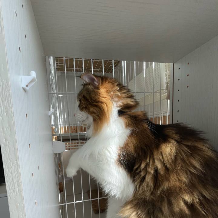 E04b15e5 0dbe 4317 a73d aa5793da9604 1667710792684