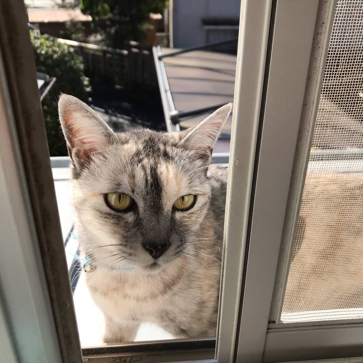 E04b2aed cc7e 495e 8b1b 0e01d73b1810 1606611467674