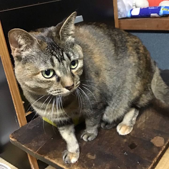 E04b52ad 0ade 40a6 afd0 b3e02b044a88 1709802523928