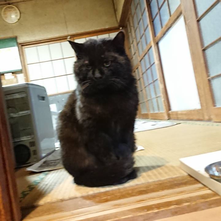 E04b63dc 1686 4b5d 9678 03c5c3433f42 1618737131022