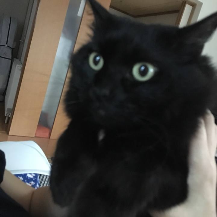 E04b6482 c531 47fc 9d34 bfcf202ee57b 1534236164487