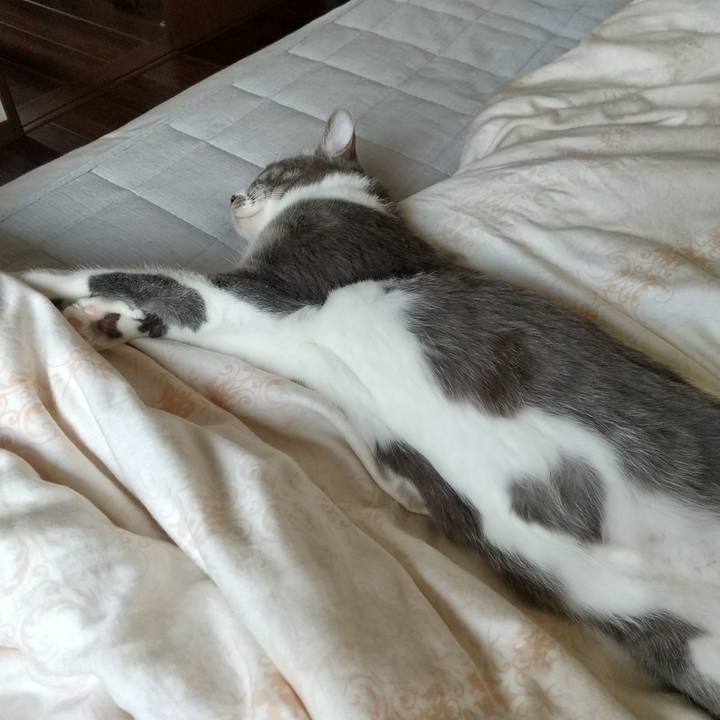 E04ba90c ac9f 40a4 bc6d 844f7db11782 1620259409181