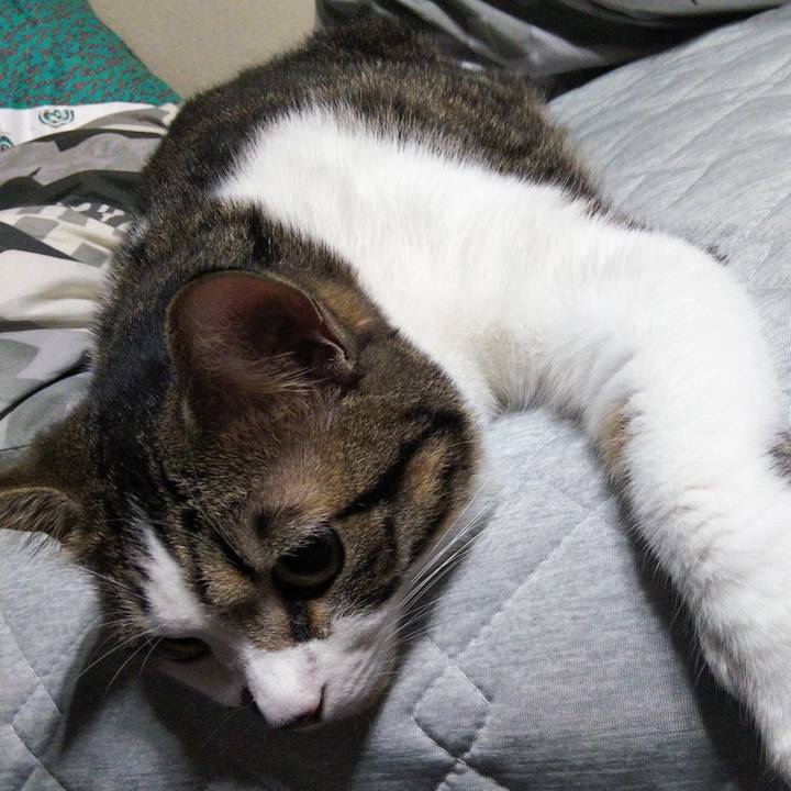 E04bc664 5ec3 4aa2 839f afdf0ab96d72 1634369899657