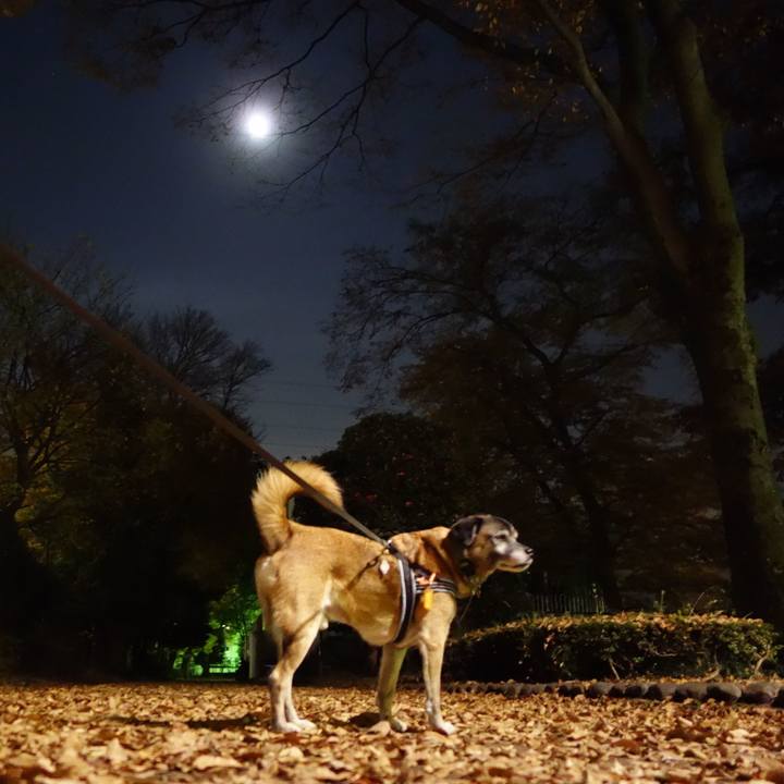 E04be2b8 cab7 4dcc b2bd 62727ba64916 1512210101629