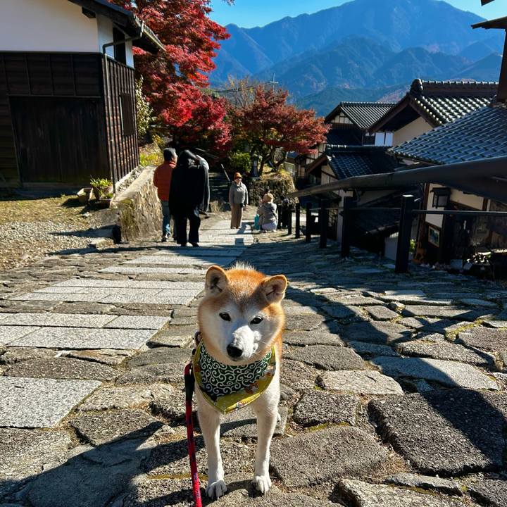 E04c5d0c db0c 4b6c 8b53 7e04a0664d5a 1763629443649