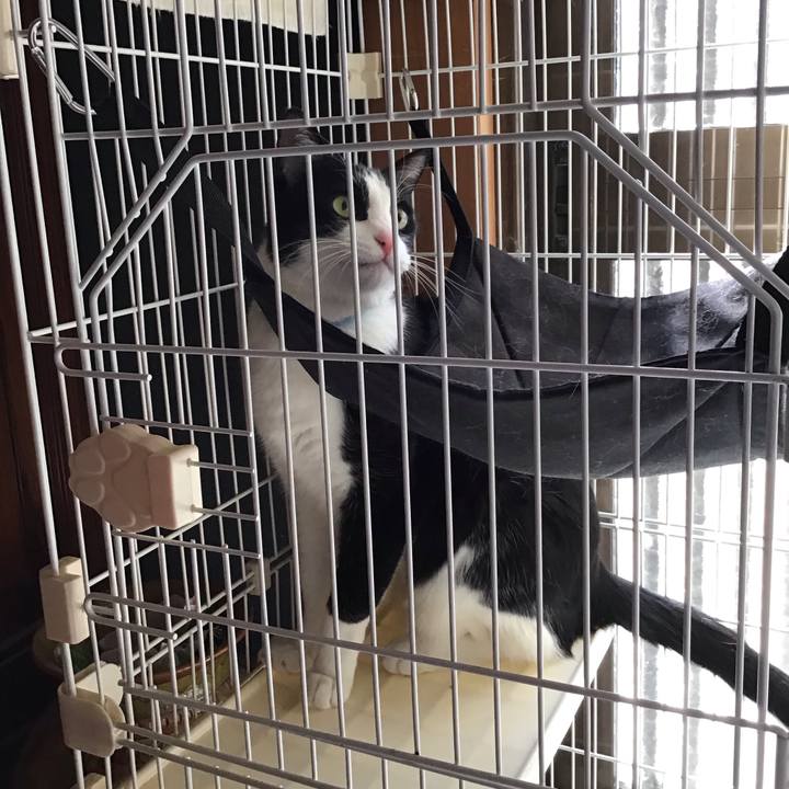 E04c67d6 c59f 45fa 9a98 c81cafb97a28 1742434855105