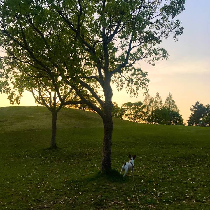 E04c73ec bd2f 4ca8 b836 ddb83d2749b0 1524400348112