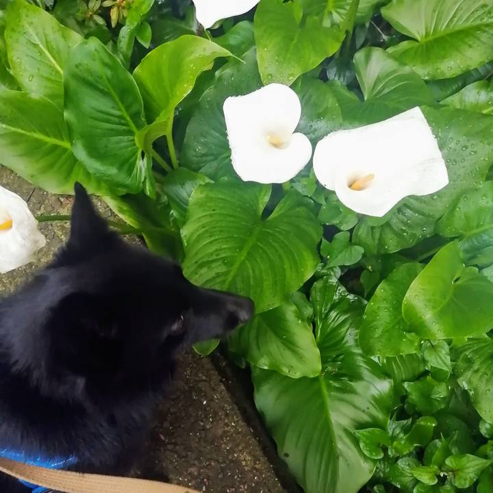 E04c7f7f afa9 4303 8a4c c3871ee0ddec 1621375167591