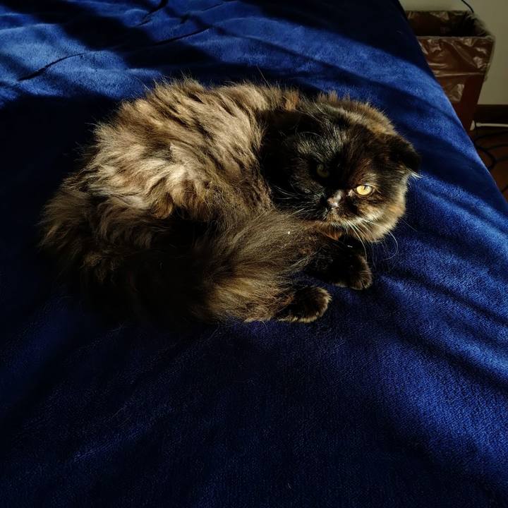 E04c9038 fa9d 46d7 ae04 df8d2bc056a3 1762239941025