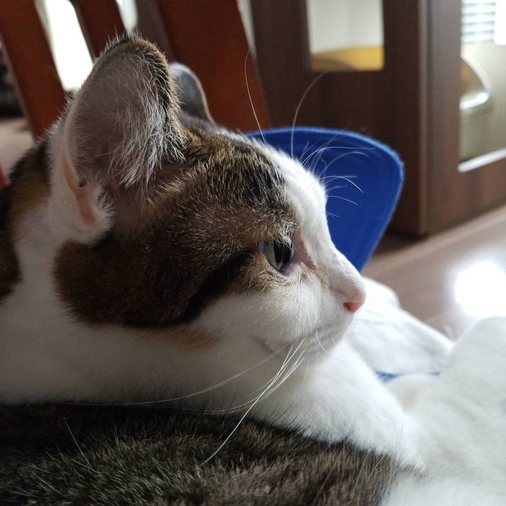 E04c9c1e a798 4b43 b55e 2ff999e039d7 1570325030968