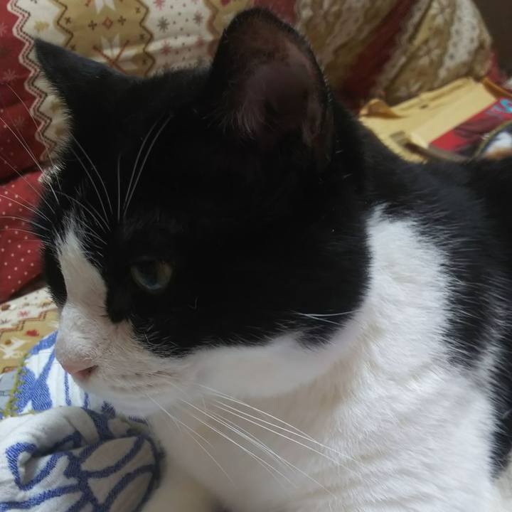 E04caab1 e991 4ed5 a674 d39664d1a368 1566701246222