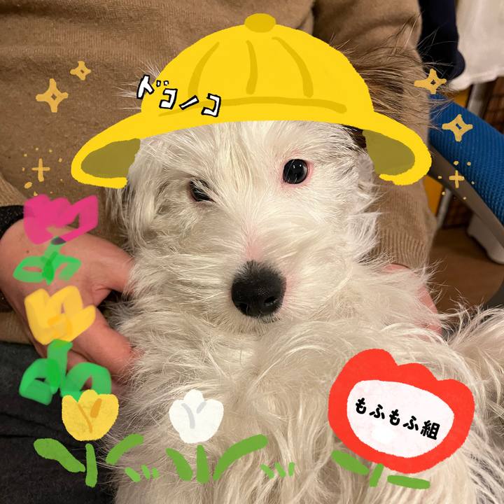 E04cba30 1c74 4438 989e 10ff7eadace5 1712318769950