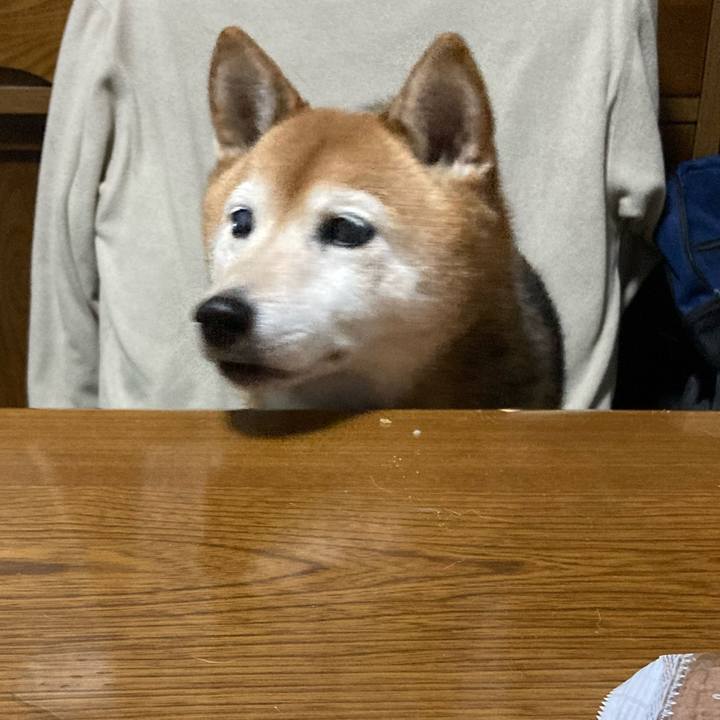 E04cfec3 a4c2 4107 9b21 6f551f61c04d 1705709655188