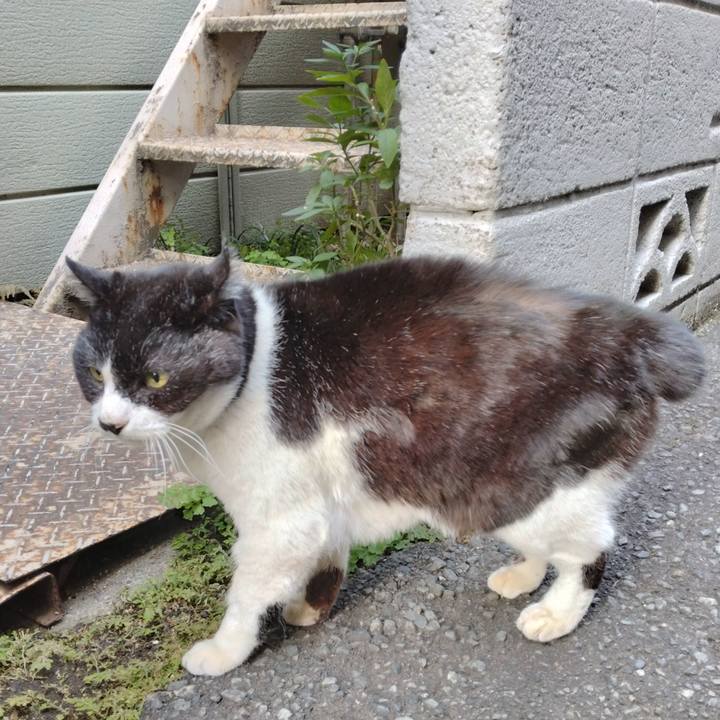 E04d24f6 8695 4a49 98b1 634b01503ea2 1709556750065