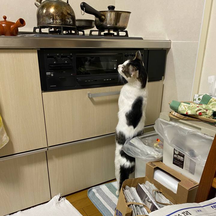 E04d2ae5 94ae 40e6 9c99 36f37b311f8b 1634201159586