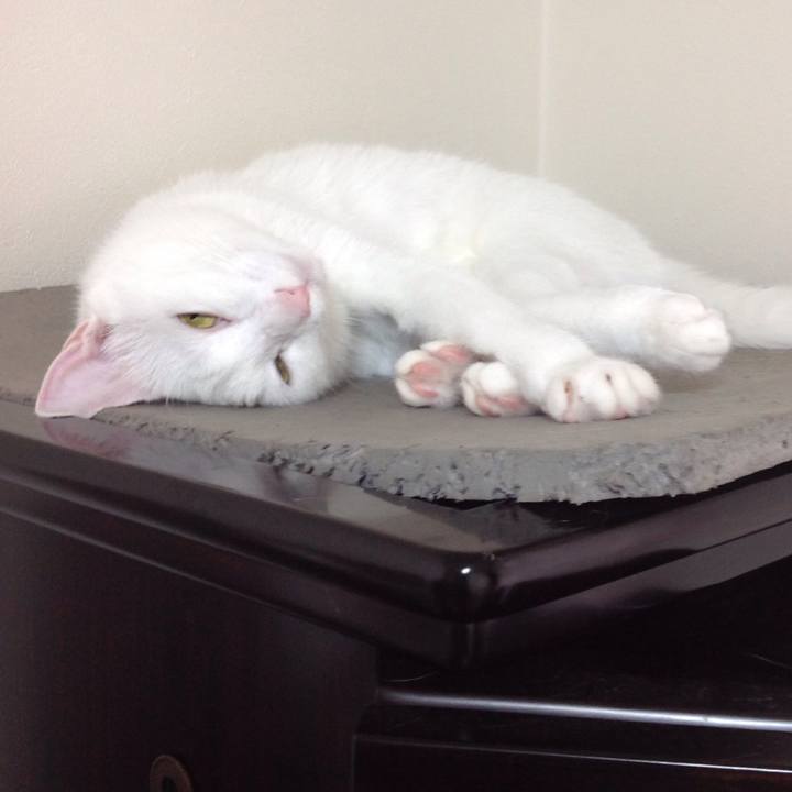 E04d338c 85d5 48b8 bf0e 13f4f2f7f725 1627337323101