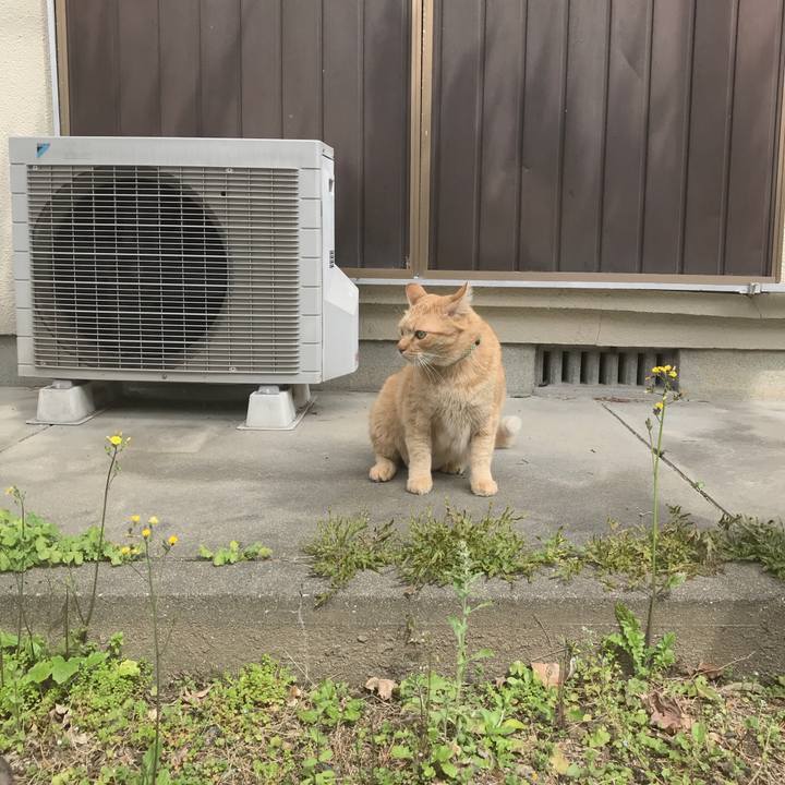 E04d4a50 28dd 4825 a6d3 6015ba2d4c72 1521379433343