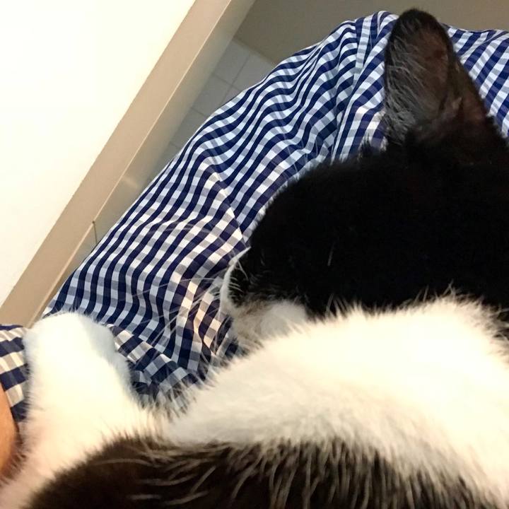 E04d6674 f91c 4e40 a4c5 6319eaf6aaf6 1513845491691