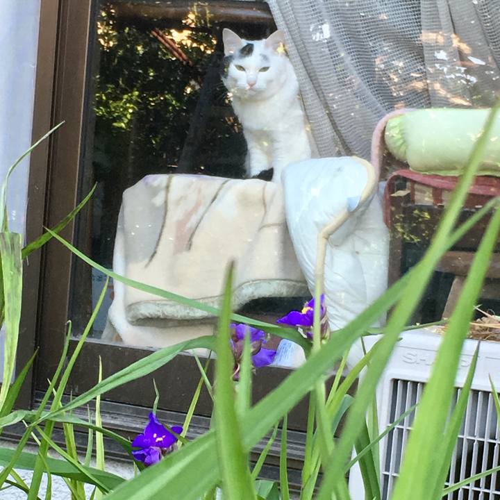 E04d85c0 4fbd 42da 9c6a f689efd1f7c1 1557614778108