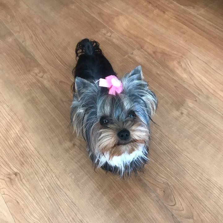 E04dd906 622a 4996 9299 2c4574f3d6b8 1635220739127