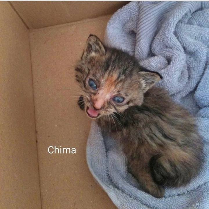 E04deae7 6b7d 4f5a aa74 edc2e0043cfd 1559968766387