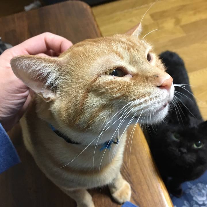 E04e0da2 c9a2 436e 9e2d 4170873f8a4b 1532354176591