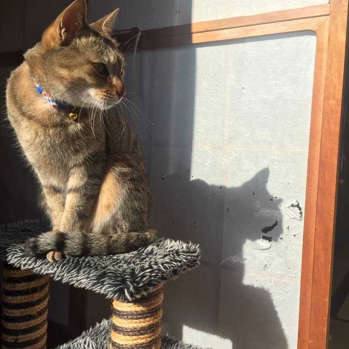 E04e11bc f962 4a6e 9259 269741f51b23 1548550203659