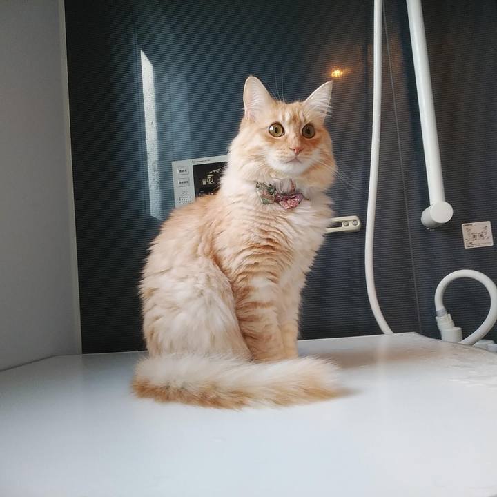 E04e2f87 b11d 4b88 83c6 5f13943c6834 1643275863609