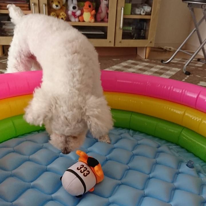 E04e3f4e 1351 488f a67f b16f9f1cb646 1565529825730